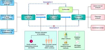 Mendelian randomization analysis to elucidate the causal relationship between small molecule metabolites and ovarian cancer risk